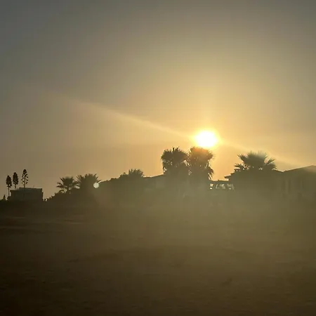 فيلة Tera *