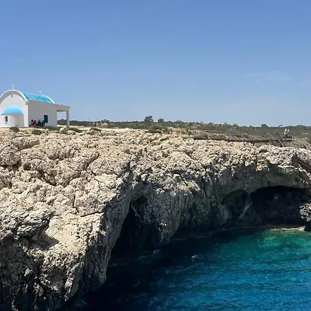 Tera فيلة