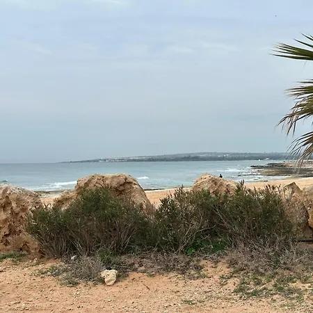 Tera فيلة
